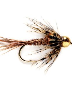 Modishnook.shopd25c3f423a 1