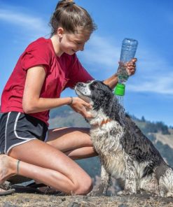 Modishnook.shopd26edcac66 1