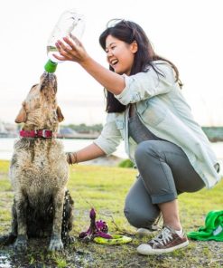 Modishnook.shopd26edcac66 3