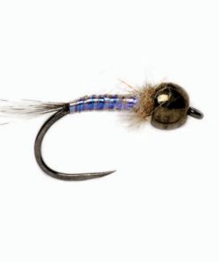 Modishnook.shopd36ceab942 1