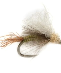 Modishnook.shopd4695013ac 1