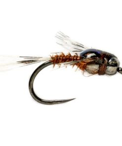 Modishnook.shopd485ab4a13 1