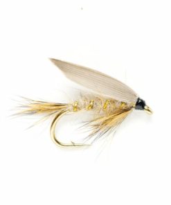 Modishnook.shopd71233ea62 1