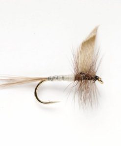 Modishnook.shopd8297b6d81 1