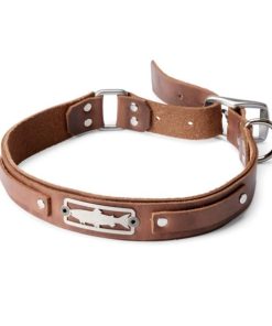 Modishnook.shopd870b94079 1