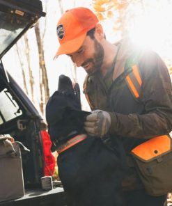 Modishnook.shopd96d68a7e5 3