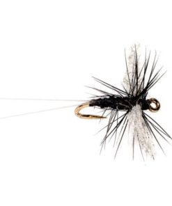 Modishnook.shopdae9699e05 1