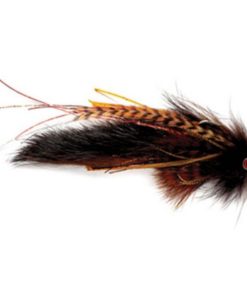 Modishnook.shopdb49c9a27e 1