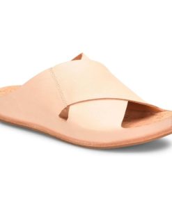 Modishnook.shopdba0755a5d 1