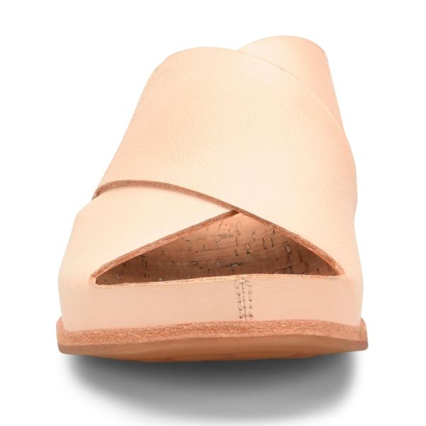 Modishnook.shopdba0755a5d 2