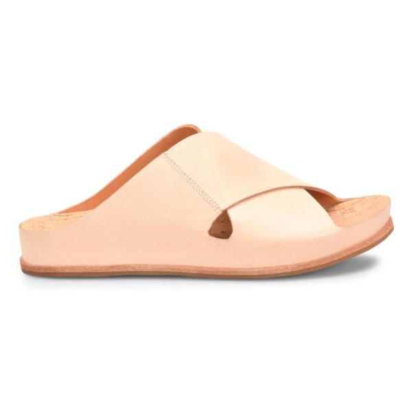 Modishnook.shopdba0755a5d 3