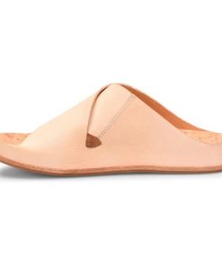 Modishnook.shopdba0755a5d 4