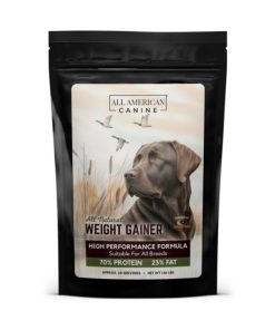 Modishnook.shopdd6aaee385 1