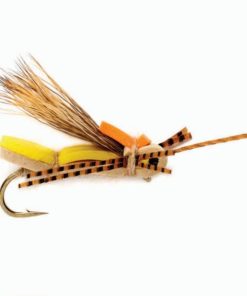 Modishnook.shopddfa6a1c13 1