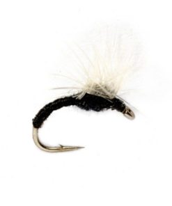 Modishnook.shopdea5dc564a 1