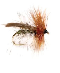 Modishnook.shopdfa89b4f36 1