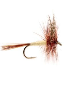 Modishnook.shope06ed53374 1