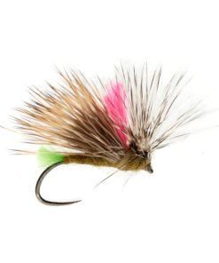 Modishnook.shope41510a645 1