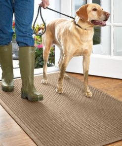 Modishnook.shope4af9ae58f 1