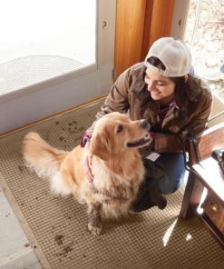 Modishnook.shope4af9ae58f 3