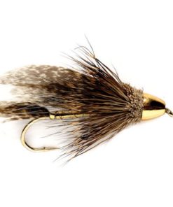 Modishnook.shope614cec09c 1