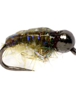 Modishnook.shope8b105b500 1