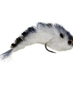 Modishnook.shope9119c82b6 1