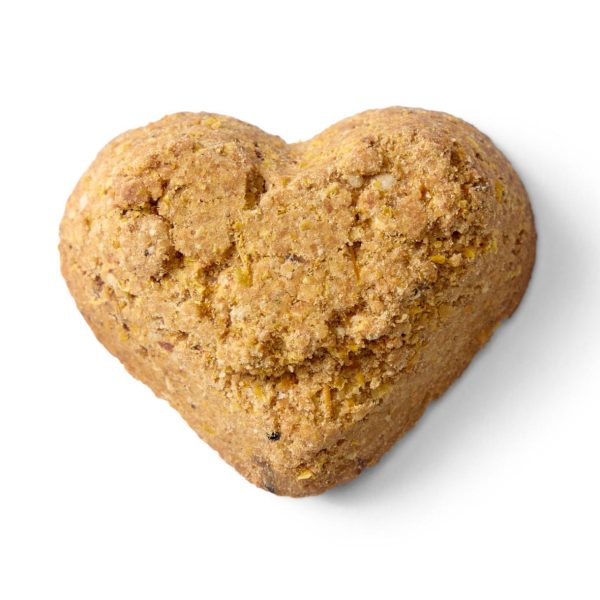 Modishnook.shopeab2034efd 2