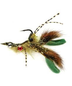 Modishnook.shopecb1c6c7c0 1