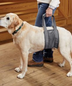 Modishnook.shopf212e44b5c 1