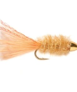 Modishnook.shopf2ac6380fa 1