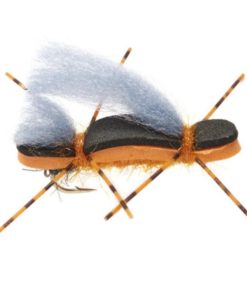 Modishnook.shopf608ed3bb9 1