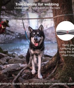 Modishnook.shopf6310a30bd 3