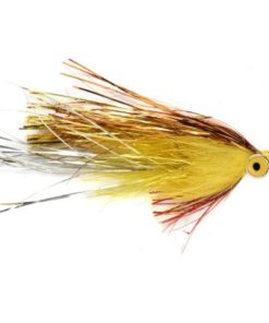 Modishnook.shopf69b8779ff 1