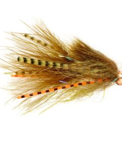 Modishnook.shopf94300e14f 1