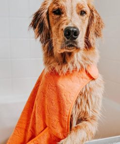 Modishnook.shopf97cbdae69 1