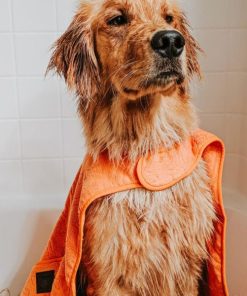 Modishnook.shopf97cbdae69 3