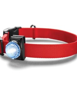 Modishnook.shopf9bed9bd9f 2