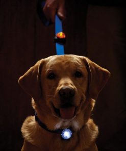 Modishnook.shopf9bed9bd9f 3