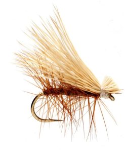 Modishnook.shopfc8eae080b 1